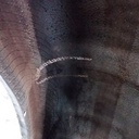 480/80R50 Goodyear Farm DT800 Super Traction R-1W 159 B 70%