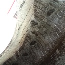 480/85R34 Firestone Radial All Traction 23 R-1 149 B 95%