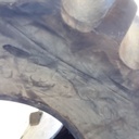 23.1/-26 Firestone Super All Traction 23 R-1, D (8 Ply) 90%