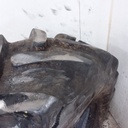 380/85R24 Firestone Performer EVO R-1W 131 D 60%