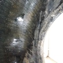 800/65R32 Firestone Radial All Traction DT R-1W 172 A8 90%