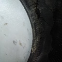 520/85R42 Firestone Radial All Traction 23 R-1 157 B 70%
