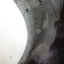 18.4/-26 Firestone Champion Spade Grip R-2 A8, E (10 Ply) 99%
