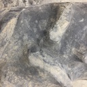 12.4/-24 Goodyear Farm DT221 DuraTorque R-1, B (4 Ply) 80%