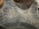 900/65R32 Goodyear Farm Special Sure Grip Radial TD8 R-2 178 A8 75%