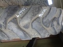 380/90R46 Titan Farm Hi Load Radial R-1S 162 B 60%