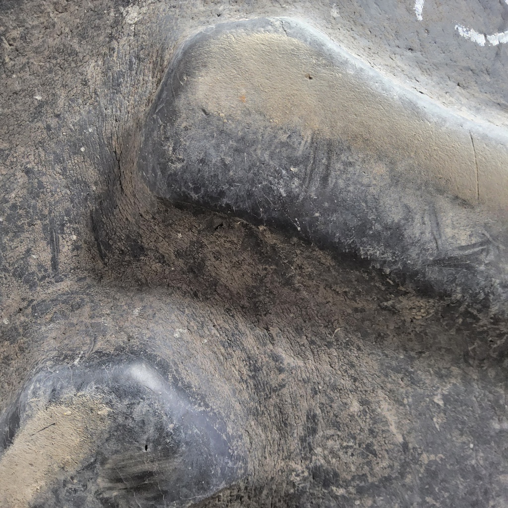20.8/R42 Firestone Radial All Traction 23 R-1 155B, E (10 Ply) 55%