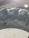 18.4/R46 Goodyear Farm Dyna Torque Radial R-1 155A8 55%