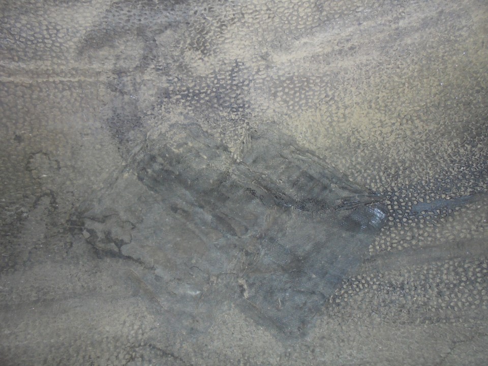 29.5/-25 General LD250 L-5 D, P28 (28 Ply) 35%