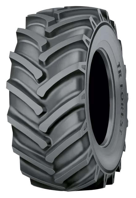TR Multiplus