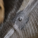 18.4R42 Firestone Radial 23 R-1 E (10 Ply), 148A8 65%