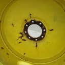 18"W x 28"D, John Deere Yellow 8-Hole Formed Plate