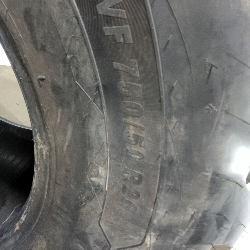 VF750/50R26 Michelin FloatXbib E-3 170E