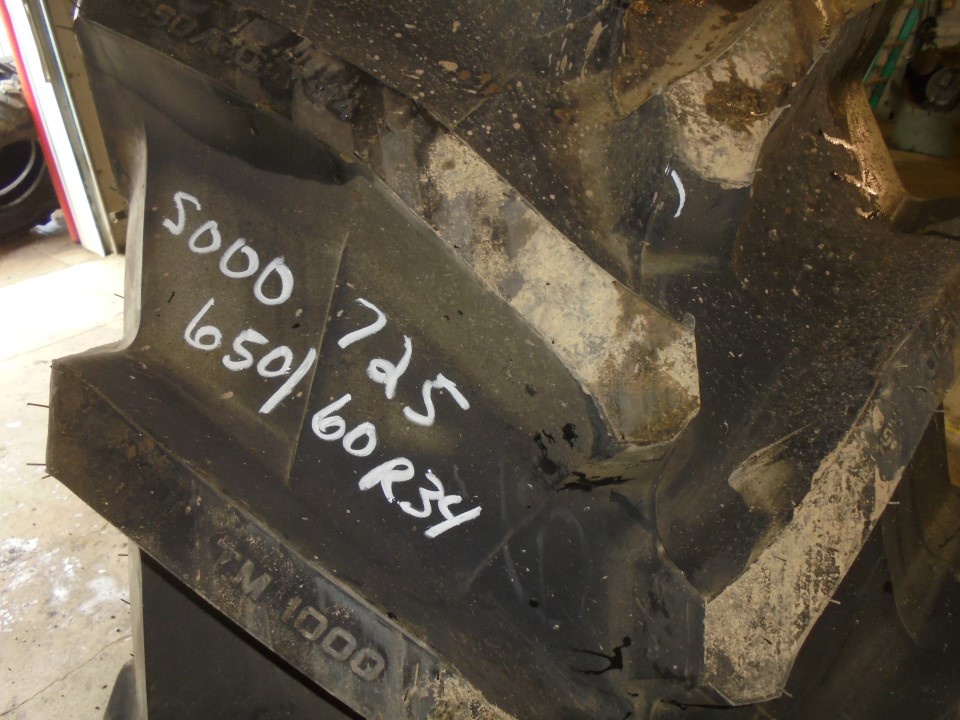 IF 650/60R34 Trelleborg TM1000 High Power R-1W 159 D 99%