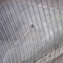 VF380/90R46 Michelin Spraybib CFO R-1S 173D 99%