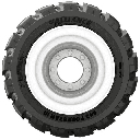 643 Forestar III