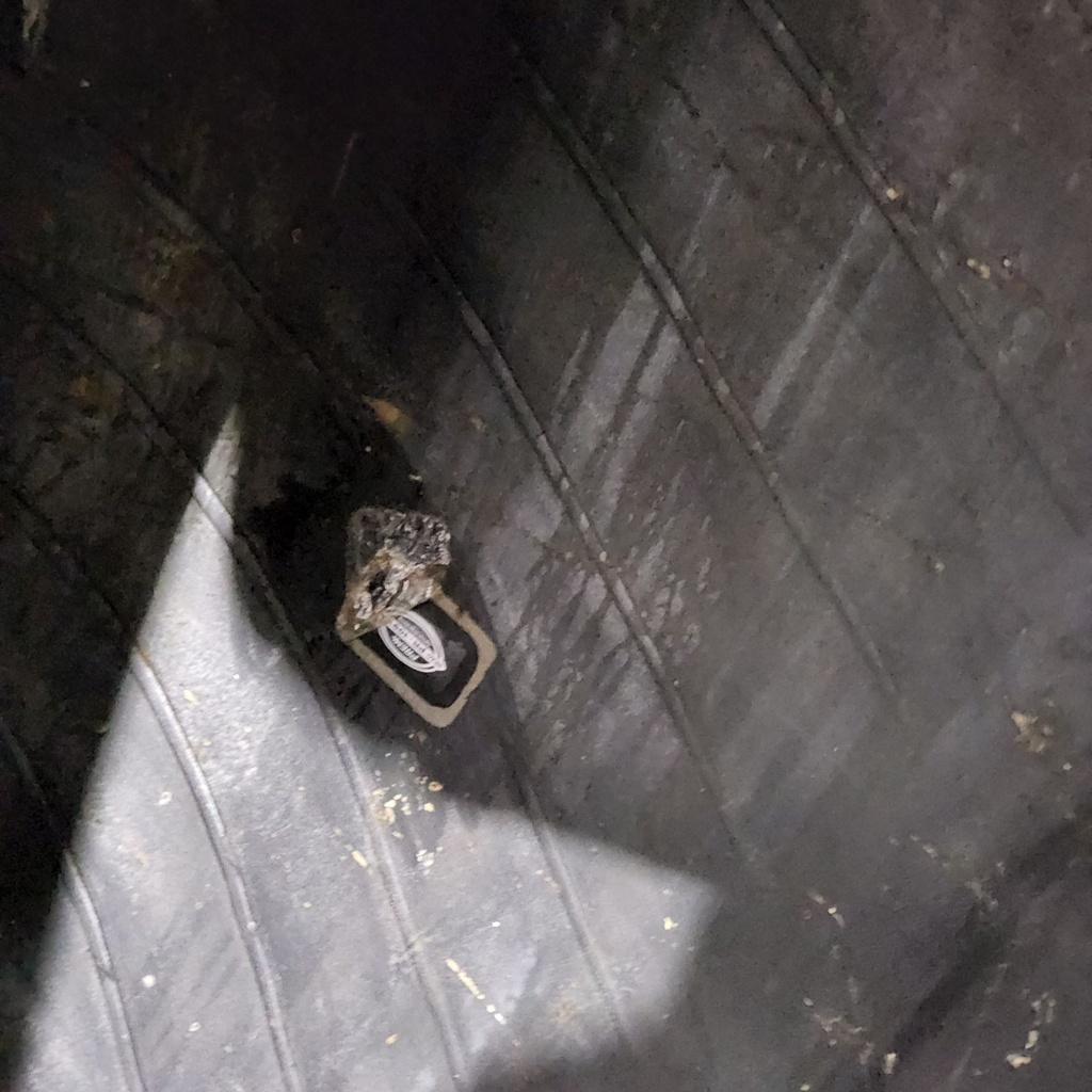 30.5L-32 Goodyear Farm Dyna Torque II R-1 F (12 Ply), 85%