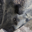 23.1-26 Firestone Super All Traction 23 R-1 D (8 Ply), 85%