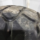 20.5R25 Bridgestone VMT V-Steel M-Traction L-3 D (8 Ply), 60%