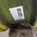 18"W x 42"D, John Deere Yellow 20-Hole Dolly Dual , -15.12" Offset