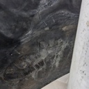 380/105R50 Firestone Radial 9100 R-1 168A8 65%