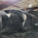 380/105R50 Firestone Radial 9100 R-1 168A8 65%