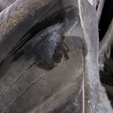 420/85R34 Firestone Performer EVO R-1W 142D 85%