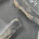 380/90R54 Goodyear Farm DT800 Super Traction R-1W 152A8 45%