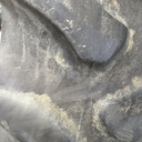 480/80R46 Firestone Radial All Traction 23 R-1 158A8 55%