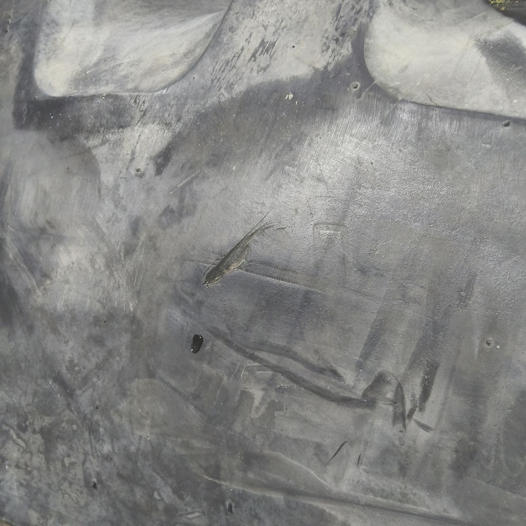 18.4R46 Firestone Radial All Traction 23 R-1 F (12 Ply), 155A8 90%