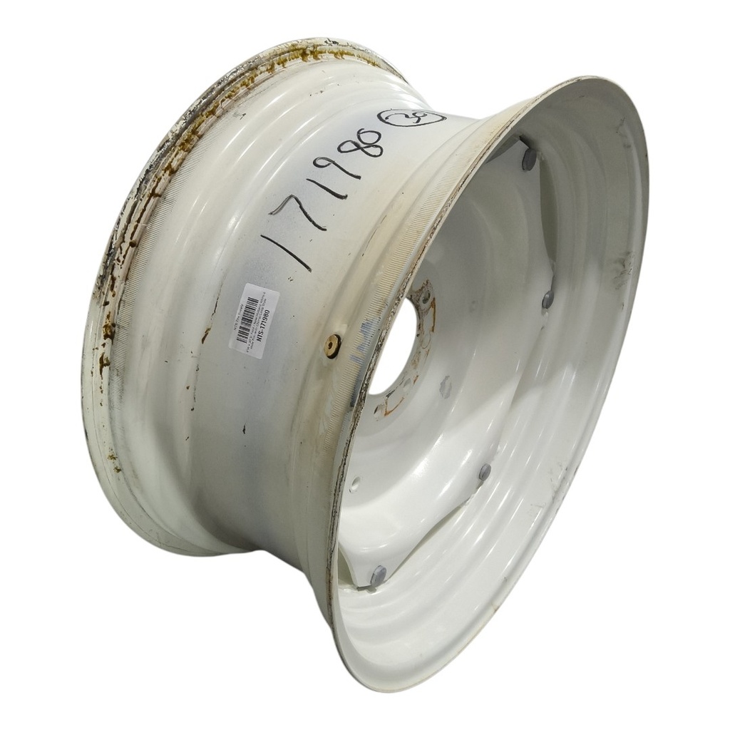 14"W x 30"D, Ford / New Holland White 6-Hole Rim with Clamp/Loop Style