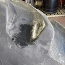 18.4R38 Goodyear Farm Dyna Torque Radial R-1 141A8 60%