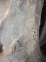 480/80R50 Goodyear Farm DT800 Super Traction R-1W 159 B 45%