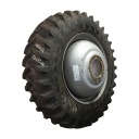 480/80R42 Firestone Radial All Traction 23 R-1 on Case IH Silver Mist 20-Hole Dolly Dual 95%