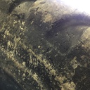 29.5/R25 Bridgestone VLT V-Steel L-Traction E-3/L-3 2* 45%