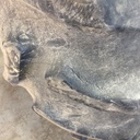 23.1/-26 Goodyear Farm Dyna Torque II R-1, E (10 Ply) 60%