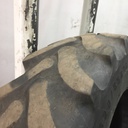 420/85R34 Firestone Radial All Traction DT R-1W 147 B 30%